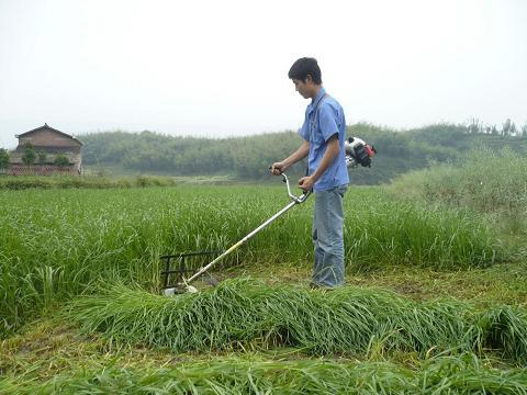 质优价廉口碑好的 斜跨式割草机厂价批发